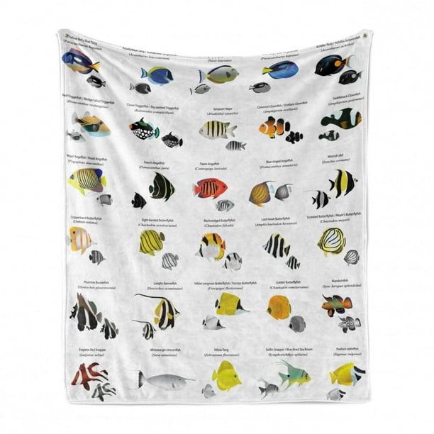 Ambesonne Ocean Soft Flannel Fleece Throw Blanket Illustration of Different Fish Species Underwater Aquatic Picture 70 x 90 Cozy Plush for Indoor and Outdoor Use Yellow Blue Black Ambesonne Ocean Soft Flannel Fleece Throw Blanket Illustration of Different Fish Species Underwater Aquatic Picture 70 x 90 Cozy Plush for Indoor and Outdoor Use Yellow Blue Black